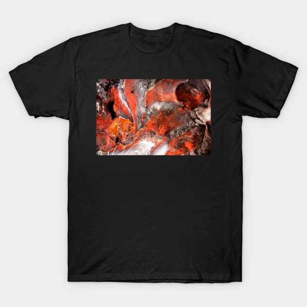 Cave in Petra, Jordan T-Shirt by franck380